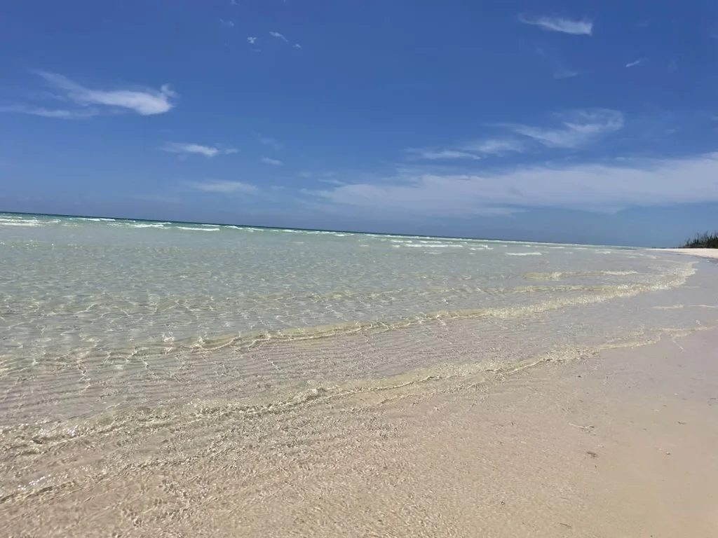 Clear shallow water meeting a white sand beach in Grand Bahama
